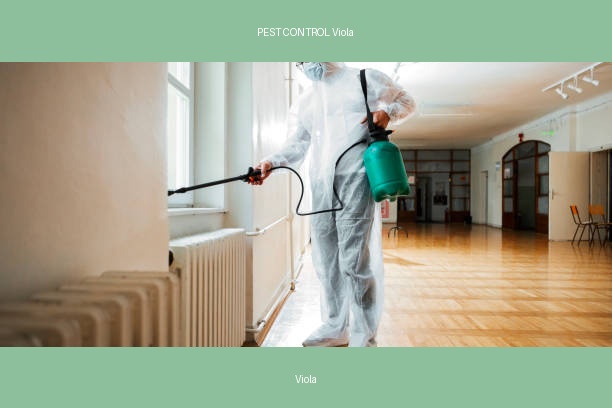PEST CONTROL Viola
